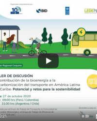Evento regional conjunto: La contribución de la bioenergía a la descarbonización del transporte en América Latina y el Caribe: potencial y retos para la sostenibilidad